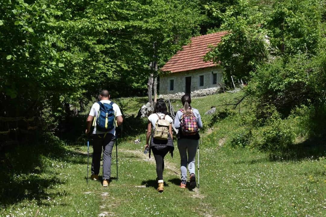 Apartman Sara Plužine Dış mekan fotoğraf