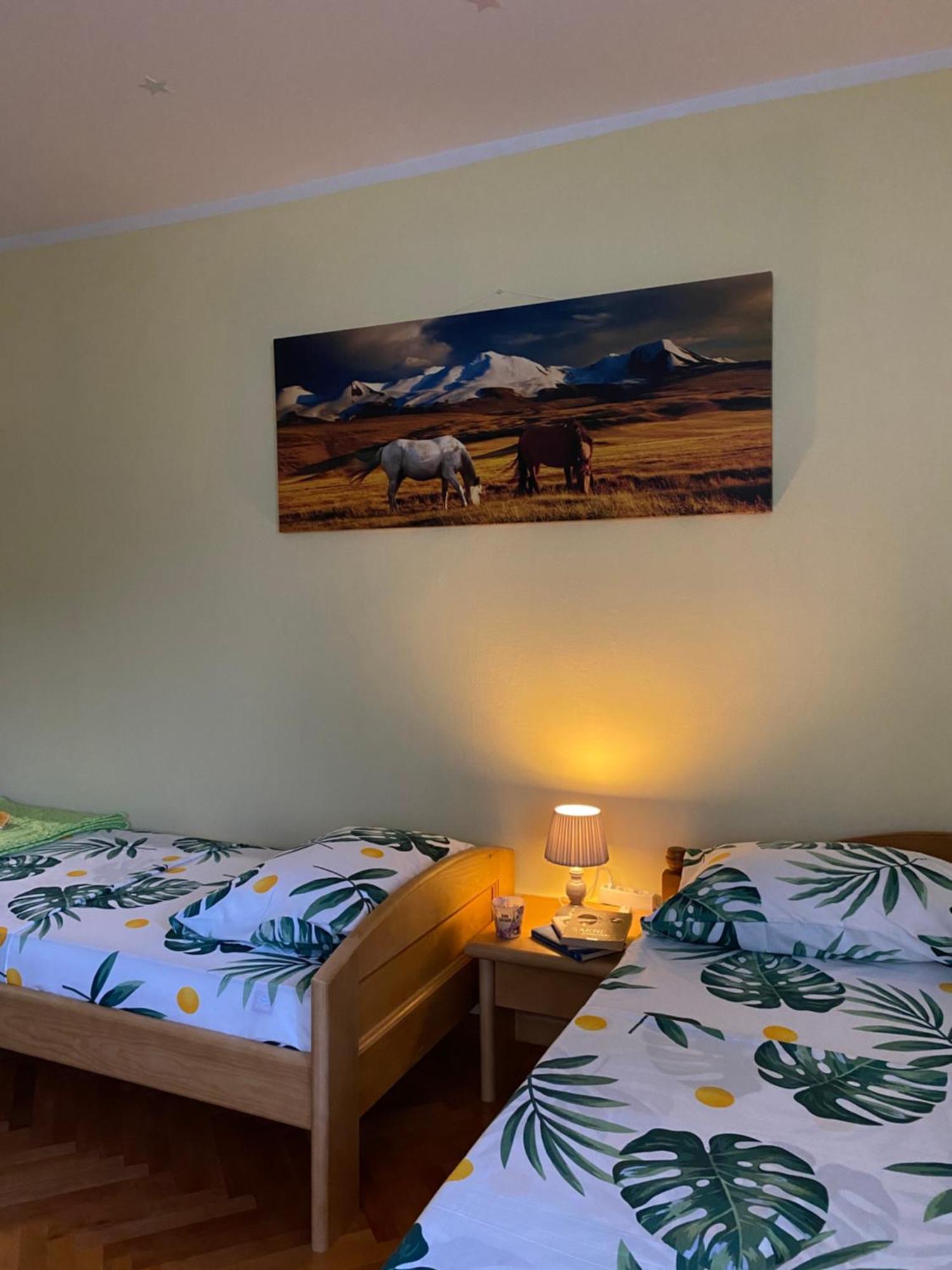 Apartman Sara Plužine Dış mekan fotoğraf