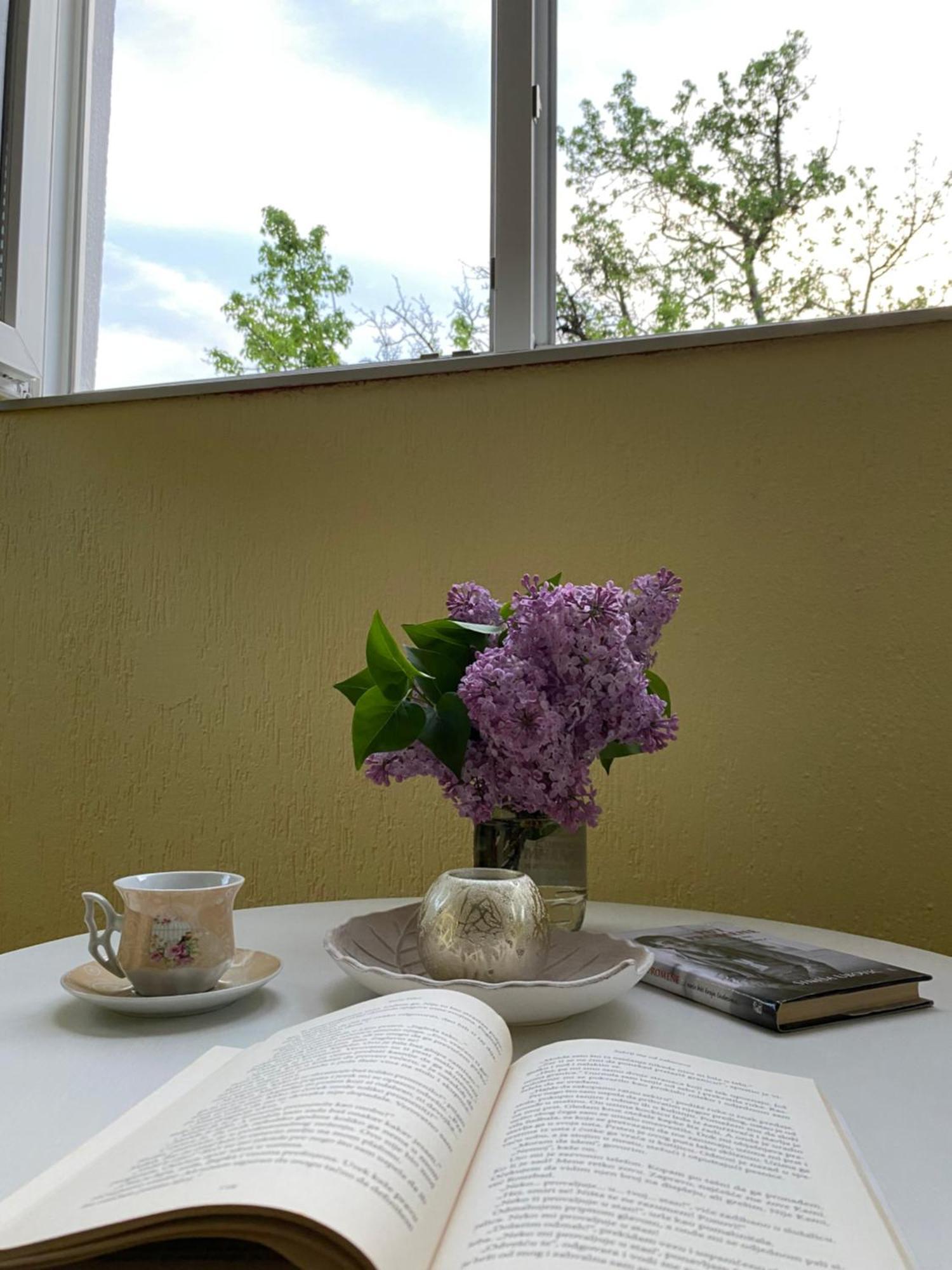 Apartman Sara Plužine Dış mekan fotoğraf